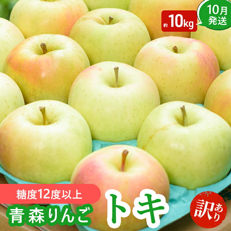 【ふるさと納税】【10月発送】（糖度12度以上） 訳あり品 家庭用 トキ 約 10kg 【 青森りんご 果物類 美味しい 採れたて 選りすぐり 高糖度 12.5度 ご家庭用 甘さ 驚き 果汁 土壌 肥料 プレセント 】　お届け：2026年10月中