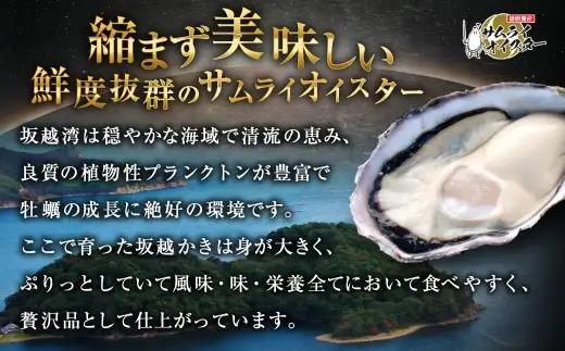 サムライゴールド 坂越産 殻付き生牡蠣 10個 かき カキ 牡蠣 生牡蠣 生がき 生ガキ 殻付き 殻 海の幸 魚介 貝 国産 兵庫県産