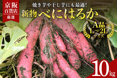 【京阪百貨店厳選】茨城県産べにはるか 10kg（新物）[A品L～2Lサイズ] 芋 さつま芋 サツマイモ さつまいも B18-002