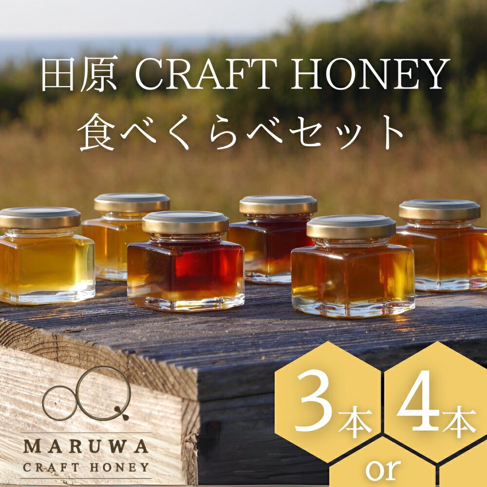 【ふるさと納税】田原CRAFTHONEY食べくらべ
