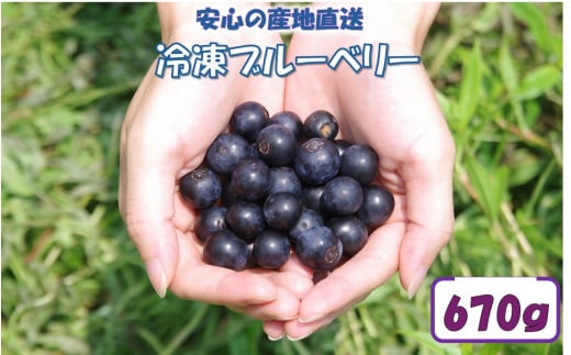 ZS-764 【先行予約】【７月以降順次発送】冷凍ブルーベリー 670g