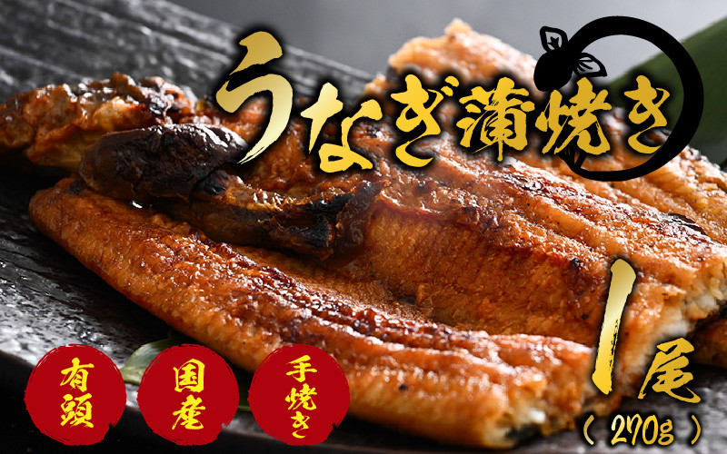
                  国産 活うなぎ蒲焼 有頭 約270gを1尾 1～2人前《ご寄付後、発送直前に1つ1つ手焼き！》【年内発送受付12月15日まで】／ 高級 特大 ウナギ 老舗魚屋 タレ レンジ 温めるだけ 簡単 土用の丑 うな重 うな丼 自家製タレ付 [aw072-a001]
                