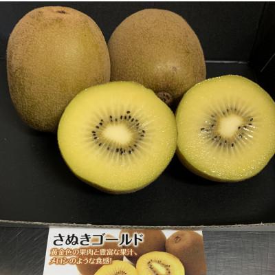 ふるさと納税 三豊市 【造田商店】さぬきゴールドキウイ【黄様】7〜9個入り 約1.2kg×1箱 |  | 02