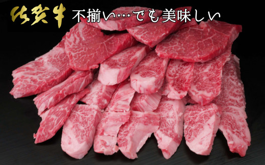 
【2024年より発送】【訳あり】佐賀牛 ヒレ焼肉用(切落し) 600g【佐賀牛 牛肉 牛ヒレ ヒレ肉 ブランド肉 不揃い ステーキ肉 サシ 焼肉 訳あり 切り落とし BBQ バーベキュー イベント】 C-C030001
