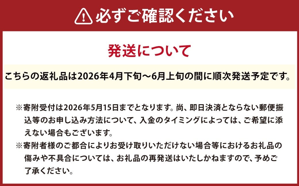 【2026年4月下旬発送開始】熊本県宇城市不知火町の海沿いの段々畑で作った「河内晩柑」約10kg（26-33玉）