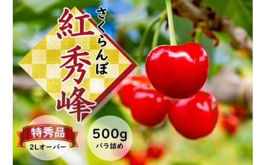 さくらんぼ　紅秀峰　特秀品　500ｇ（バラ詰め）山形県飯豊町産   ※北海道・中国・四国・九州・沖縄　配送不可