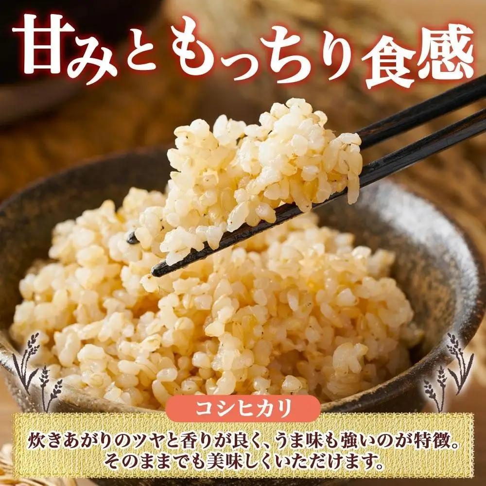 【2026年10月発送】令和8年産 コシヒカリ 風さやか 玄米 各5kg 長野県産 米 お米 ごはん ライス 低GI 甘み 農家直送 産直 信州 人気 ギフト お取り寄せ 平林農園 送料無料 長野県 