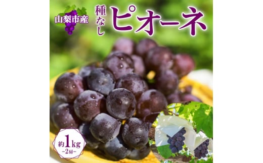 〈2026年先行予約〉甘みと酸味のバランスが絶妙!「山梨県山梨市産 大房 ピオーネ 2房 約1kg」【1513021】