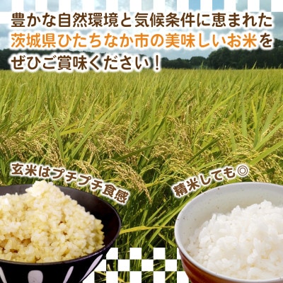 【先行予約・9月以降順次発送】新米　令和7年　ひたちなか市産　コシヒカリ(玄米)10kg×1袋