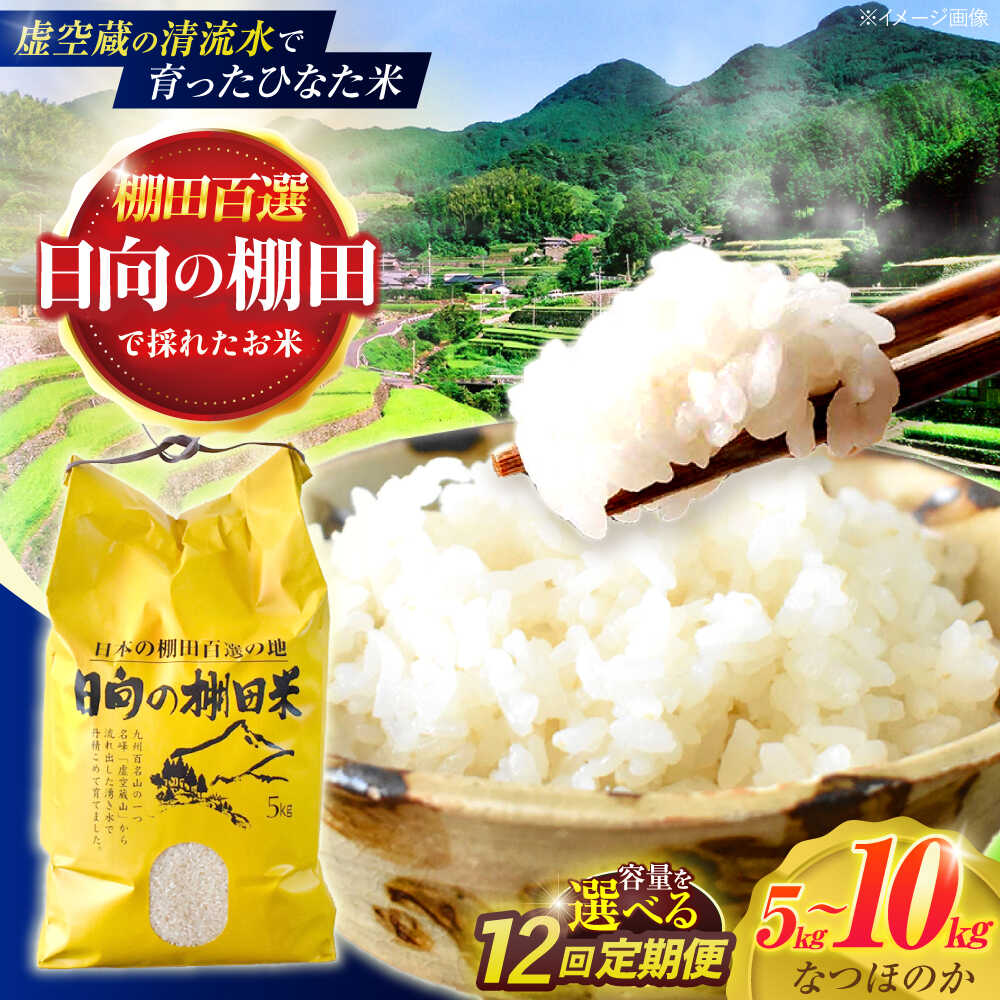 【ふるさと納税】＜容量選べる！＞【12回定期便】虚空蔵の清流水で育った棚田米『ひなた米』 5kg・10kg 【木場中山間管理組合】[OCM048]
