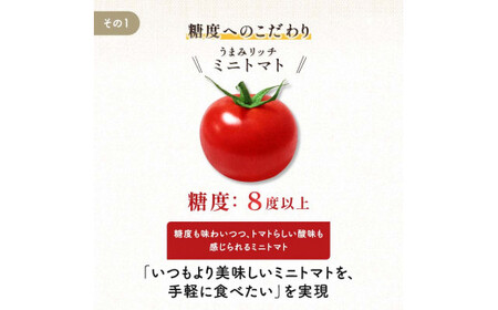 ＜特別栽培農産物＞ファームサイドのこだわりミニトマト 3kg 野菜 トマト ミニトマト 特別栽培 農産物 サラダ ピクルス 炒め物 食品 本庄産 関東 F5K-511