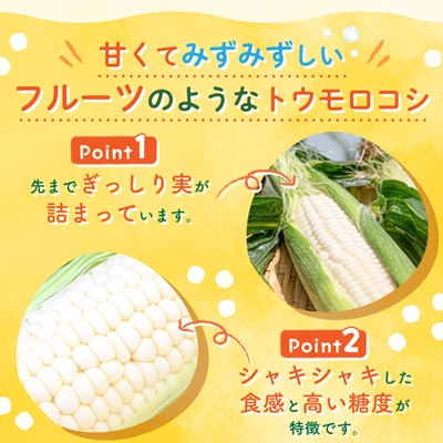 まるでフルーツ 村田農園のパールコーン 10本【大人気の白いとうもろこし(ホワイトコーン)】【配送不可地域：離島】