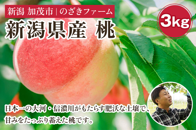 
            【2025年先行予約】新潟県産 桃 3kg（9～12玉）《7月中旬～順次出荷》 果物 くだもの フルーツ もも ピーチ 新潟県加茂市 のざきファーム
          