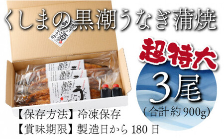 OTUCT-3 【数量限定】超特大くしまの黒潮うなぎ蒲焼３尾（合計900g前後）【大田商店】