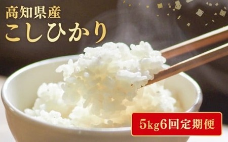 【令和7年産】 米 定期便 5kg×6回 コシヒカリ 米 AG014