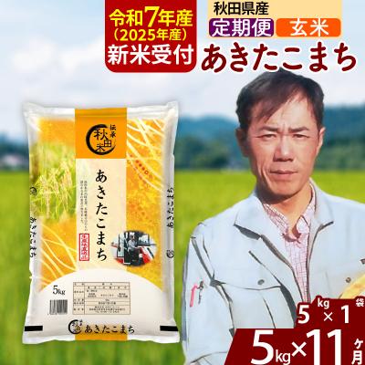 ふるさと納税 北秋田市 R7年産 新米受付《定期便11ヶ月》あきたこまち 5kg【玄米】|msrf-20311
