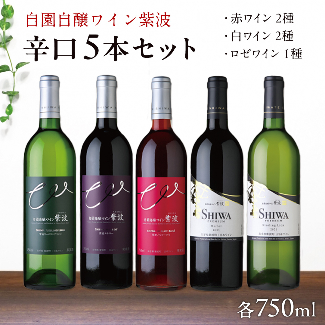 産地限定 ワインぶどう品種 使用 「自園自醸ワイン紫波辛口５本セット」紫波町産 テロワール ワイン (AL035)
