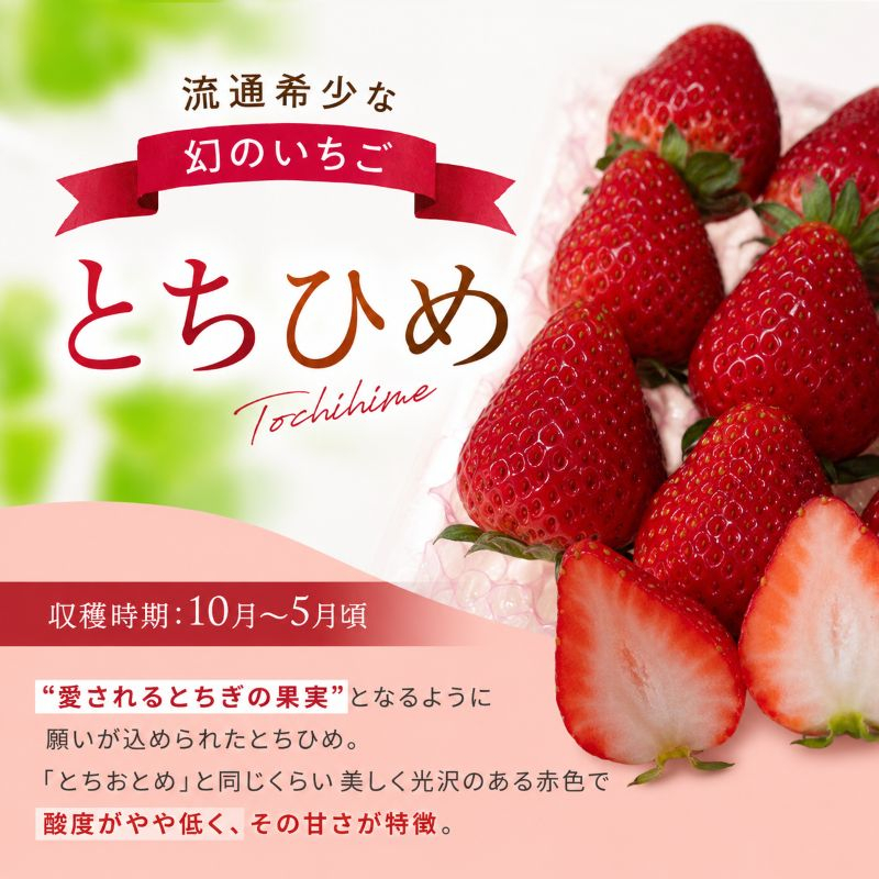 希少品種！幻の「とちひめ」 560g (280g×2P)|  栃木県 矢板市 澳原いちご農園