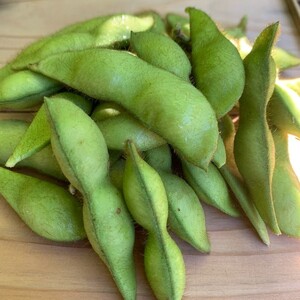 【先行予約／数量限定40】京都夏黒枝豆さや 1kg（2026年7月中旬～発送） 枝豆