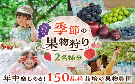 季節の果物狩り 体験チケット フルーツ狩り[APAA001] 果物狩り 果物狩り 果物狩り 果物狩り 果物狩り