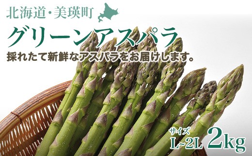 【先行予約】 グリーンアスパラ 2kg（L～2L）<令和8年産 >サスケの家  | グリーン アスパラガス アスパラ あすぱら あすぱらがす 採れたて 新鮮 旬 産地直送 野菜[020-99]
