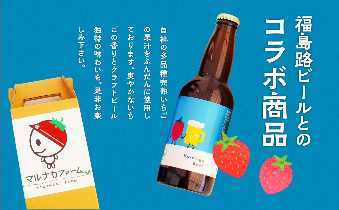 Koichigo Beer 330ml×6本セット いちご 酒 ビール beer ストロベリー 苺 イチゴ フルーツ 果物 おすすめ お中元 お歳暮 ギフト 二本松市 ふくしま 福島県 送料無料【まる