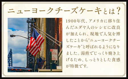 NYチーズケーキ プレーン 16個入 サクセム株式会社