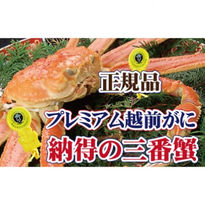 三番蟹　納得のプレミアム越前がに × 1杯 ≪生≫【12・1月発送分】【配送不可地域：離島・北海道・沖縄・四国・九州】【1333954】