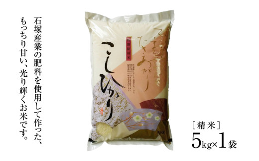 【新米】 令和8年産 コシヒカリ 精米 5kg ( 5kg × 1袋 ) (茨城県共通返礼品) こしひかり スピード発送 早い 米 ごはん もっちり 甘い コメ お米 白米 銘柄米 茨城県 桜川市 [