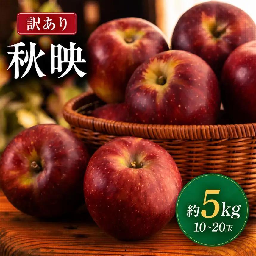 【2026年先行予約】 南信州産 秋映 訳あり 約5kg 10～20玉 ＜2026年10月上旬～順次発送＞ ＪＡみなみ信州ＤＭセンター｜長野県 飯田市