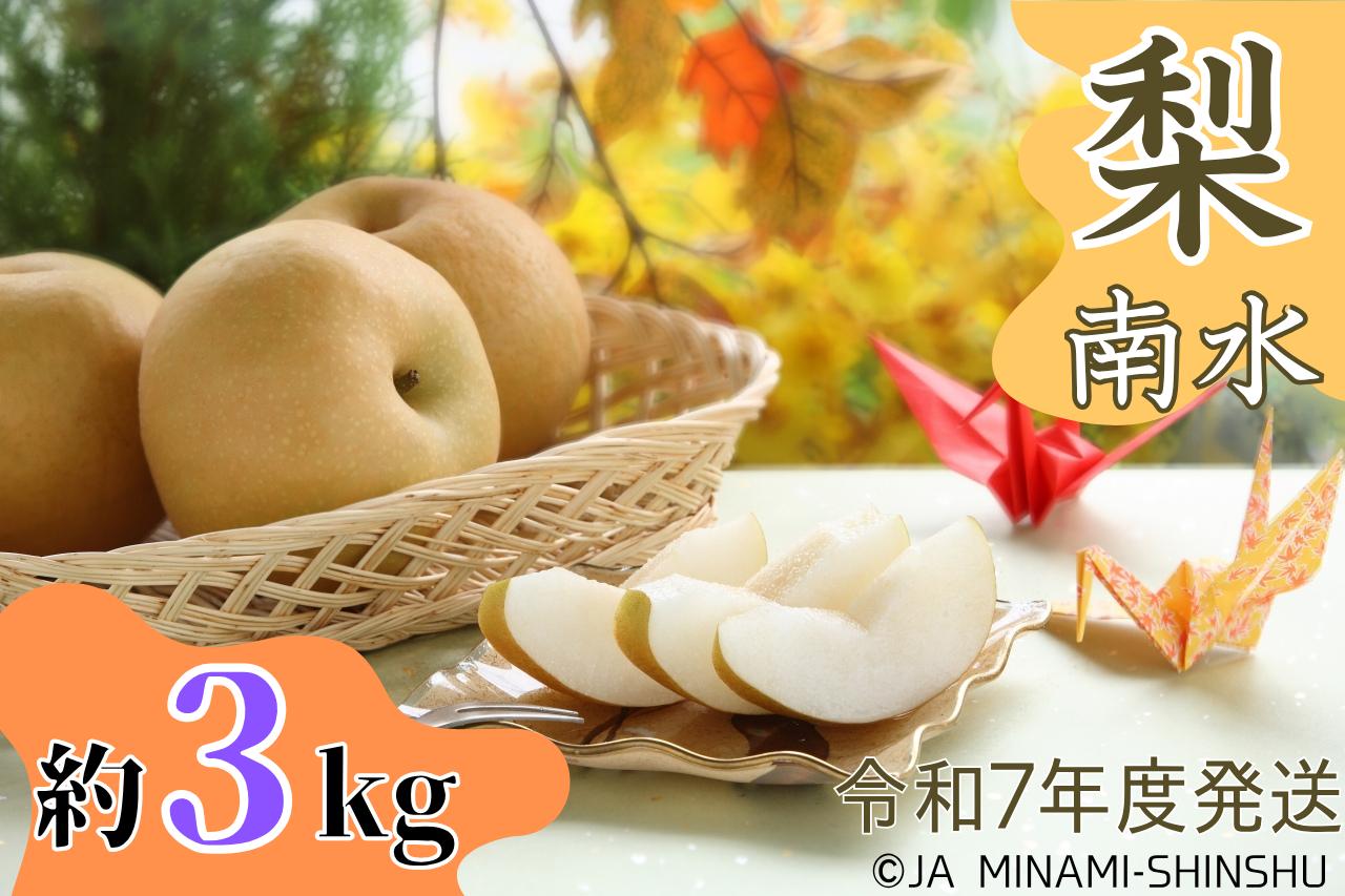 画像等の無断転載・無断使用を固く禁じます。