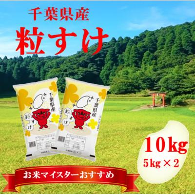 ふるさと納税 大網白里市 【令和6年産】千葉県産「粒すけ」精米 10kg(5kg×2袋)
