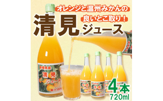 
オレンジ ジュース 清見オレンジ 720ml × 4本 果汁 100% 贈答 ギフト 柑橘 かんきつ 愛媛 みかん 蜜柑 ゼリー 寒天 父の日 母の日 敬老の日 お歳暮 お中元 国産 愛南
