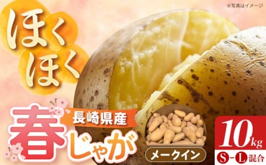 長崎県産 春作じゃがいも メークイン 10kg 【先行予約/2026年5月〜発送】長崎県/オースタイルファーム株式会社 [42ALAD004]じゃがいも ポテト 長崎 雲仙 ジャガイモ 馬鈴薯 じゃが芋 春じゃが メイクイーン 野菜 産地直送 旬 いも 芋  サイズ混合