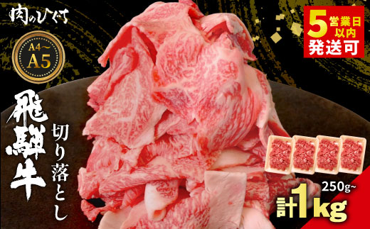 
                  飛騨牛 切り落とし 250g～1kg A5 A4 国産 牛 黒毛和牛 和牛 牛肉 切落し 切り落し 薄切り 訳あり 牛丼 すき焼き しゃぶしゃぶ 炒め物 東白川村 岐阜 飛騨 贅沢 霜降り ロース バラ もも ウデ 肉のひぐち
                