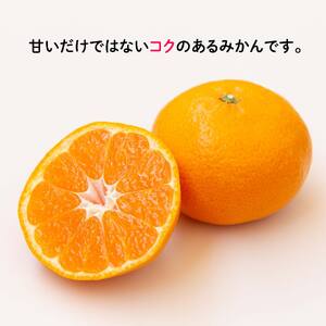 【2026年11月中旬から順次発送】甘こく愛媛みかん 瀬戸内の太陽と潮風で育ったご家庭用 5kg | 蜜柑 みかん 愛媛 松山 フルーツ 果物 くだもの 数量限定 期間限定 送料無料 おすすめ人気【S