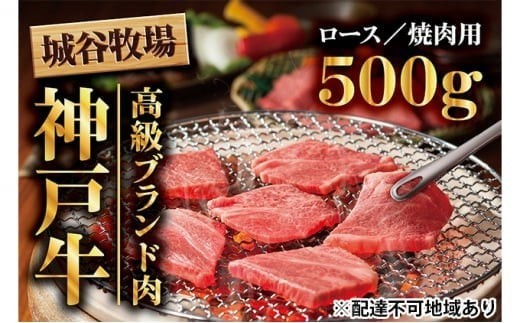 
            城谷牧場の神戸牛 ロース 焼肉 500g 国産牛 和牛 神戸ビーフ バーベキュー BBQ 冷凍
          