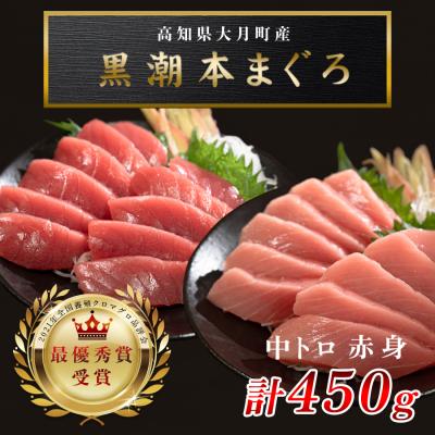 ふるさと納税 大月町 【高知県産 養殖本マグロ】450g(中トロ300g 赤身150g)小分け柵 急速冷凍
