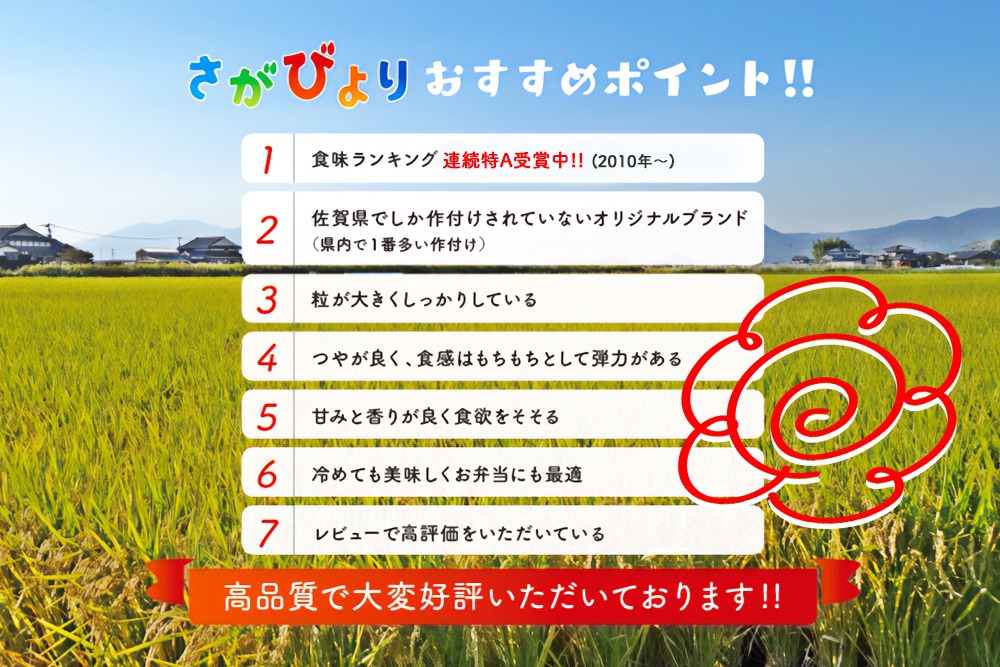 【令和7年産 新米】ごはんソムリエが厳選 白米 さがびより 5kg【神埼市産 米 お米 精米 白米 5kg さがびより ブランド米 食味鑑定士】(H063144)
