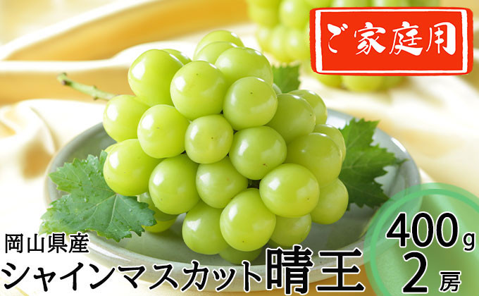 
            ご家庭用 シャインマスカット 晴王 約400g×2房 計約800g 【2025年8月下旬～11月下旬迄発送】 岡山 種無し 種なし マスカット 果物 くだもの フルーツ ぶどう ブドウ 葡萄 冷蔵
          
