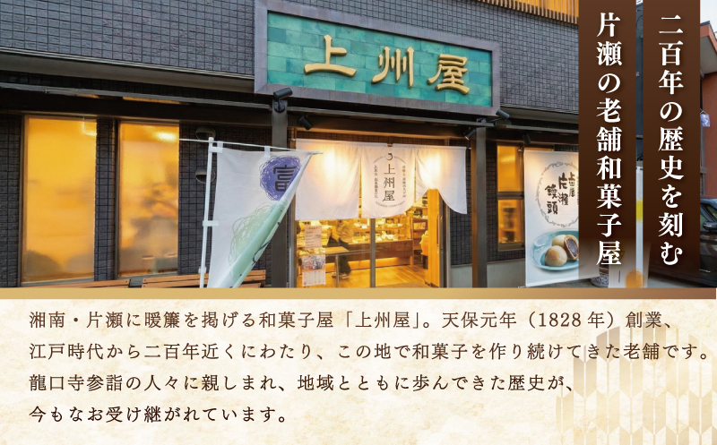和菓子 片瀬 饅頭 2種 詰め合わせ 10個入 茶饅頭 酒饅頭 自家製餡 酒まんぢゅう わがし wagasi まんじゅう manjuu お取り寄せ 小分け 贈答 ギフト 冷凍 冷凍スイーツ 個包装 お