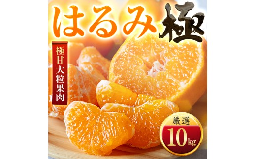 【先行受付】【果汁あふれる】とろ甘食感 はるみ　10kg　愛媛県産【49-119】ふるさと納税 みかん  柑橘 果物 フルーツ おすすめ はるみ 春見 甘い 3kg 4kg 5kg 10kg 愛媛県 八幡浜市 【1741173】 YWTZ092