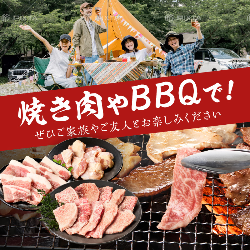 佐賀の恵み 三種焼肉セット（佐賀牛・有田鶏・肥前さくらポーク）×5セット 015-J1631