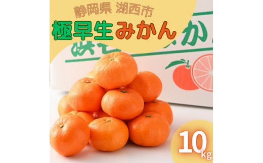 ＜2025年10月発送開始＞浜名湖の「極早生みかん」10kg【1537441】