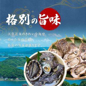 S002-021_【期間限定】大容量！天草の旬！バーベキューセット　約6人前