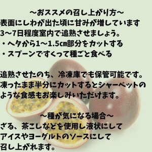 トロピカルな味わいのパッションフルーツ　1kg【配送不可地域：離島】【1618370】