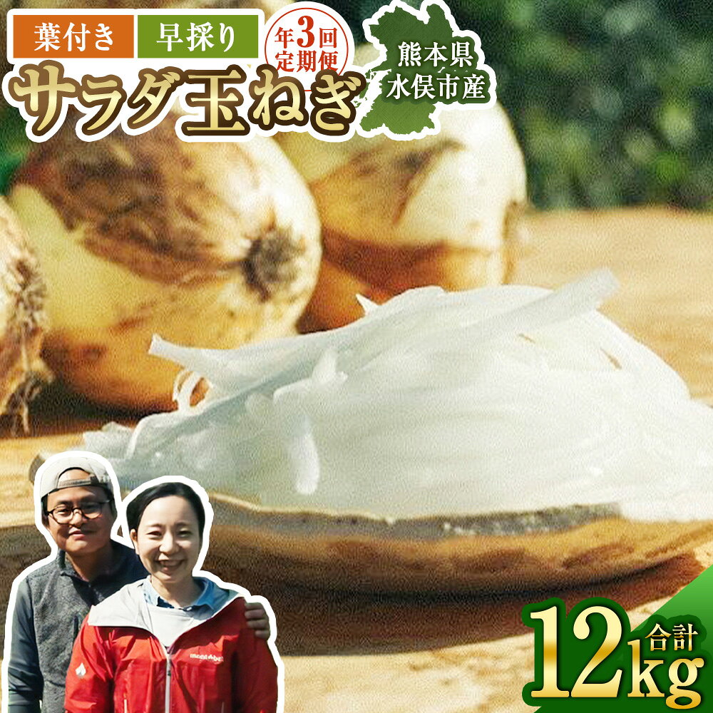 【ふるさと納税】【年3回定期便】【2027年2月上旬発送開始】1年に1度だけ!甘くて柔らかい! 早採りサラダ玉ねぎ(優品・サイズ混合)　＜栽培期間中、無農薬・無化学肥料栽培/熊本県水俣市産/耕人舎＞ サラダ 玉葱 タマネギ 野菜 熊本県産 送料無料 【2027年2月上旬発送開始】