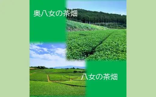【2026年4月下旬発送開始】特選八女煎茶「天空の茶葉」桐箱入り たっぷり大容量700g（約2ヵ月分） 緑茶 煎茶 お茶 八女茶 国産茶 国産