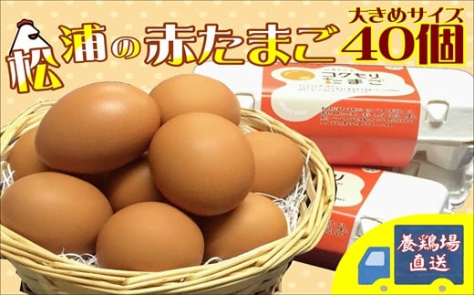 養鶏場直送!松浦の赤たまご(40個)【B1-125】