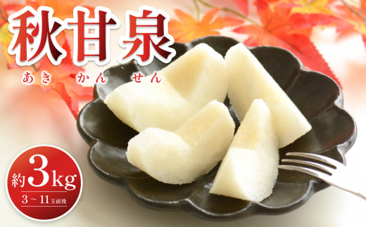 【2026・先行予約】 プレミアム秋甘泉（あきかんせん）3kg｜鳥取 果物 くだもの フルーツ なし 梨 和梨 旬 数量限定 2026年収穫後【41033】